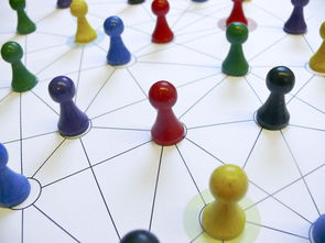 乐鱼在线-中国篮球教练员领导力培养路径，中国篮球协会篮球教练员等级