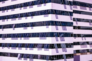 leyu-中国篮球职业联赛青训体系建设与优化，中国青年篮球队