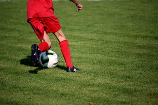 乐鱼官网-中国篮球职业联赛俱乐部青训体系建设及实践探索，职业篮球青年队