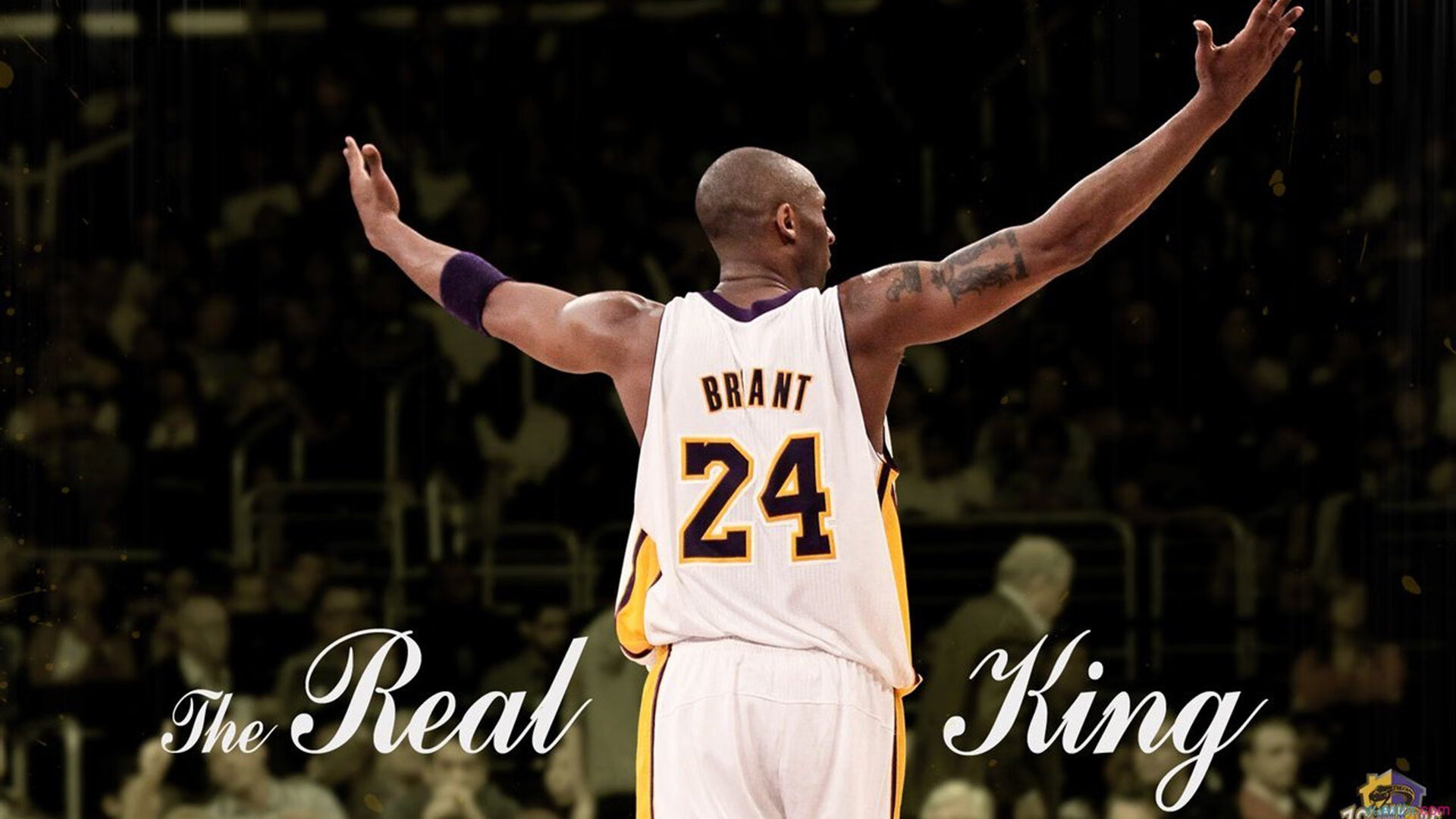 Palmer技战术全面,极具发展潜力,palmer owned